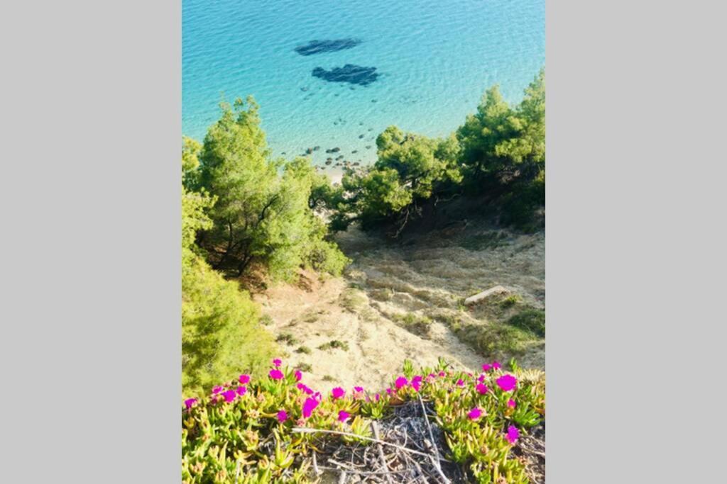Family Apartment In Greece Kalandra المظهر الخارجي الصورة